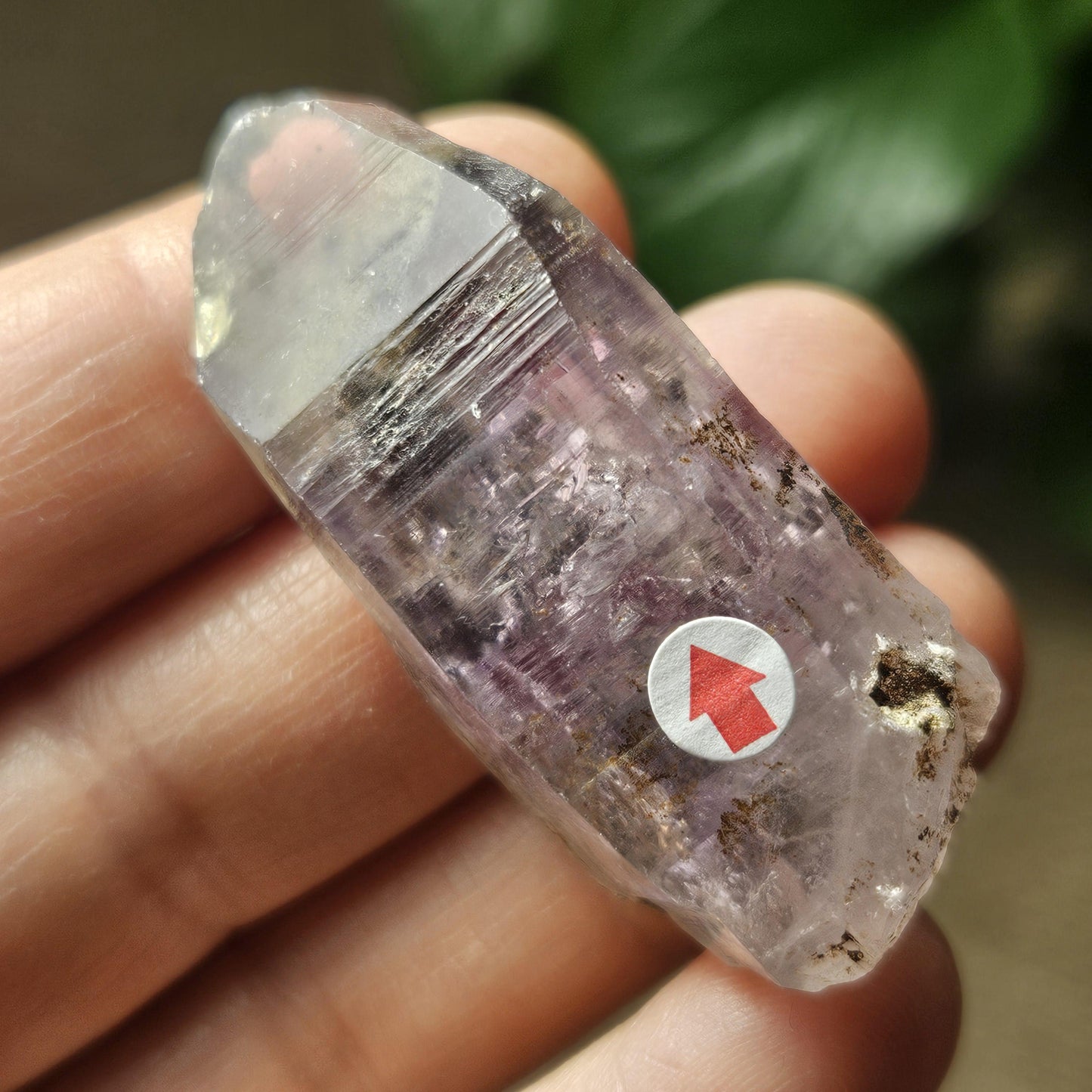 Enhydro Amethyst Crystal, Two MOVING Water Bubbles (20g)