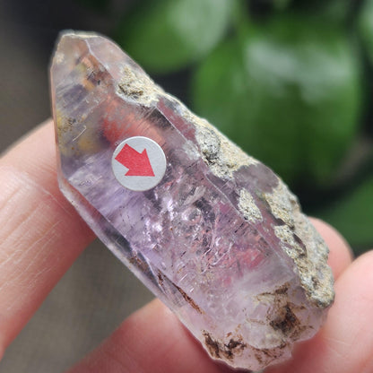 Enhydro Amethyst Crystal, Two MOVING Water Bubbles (20g)