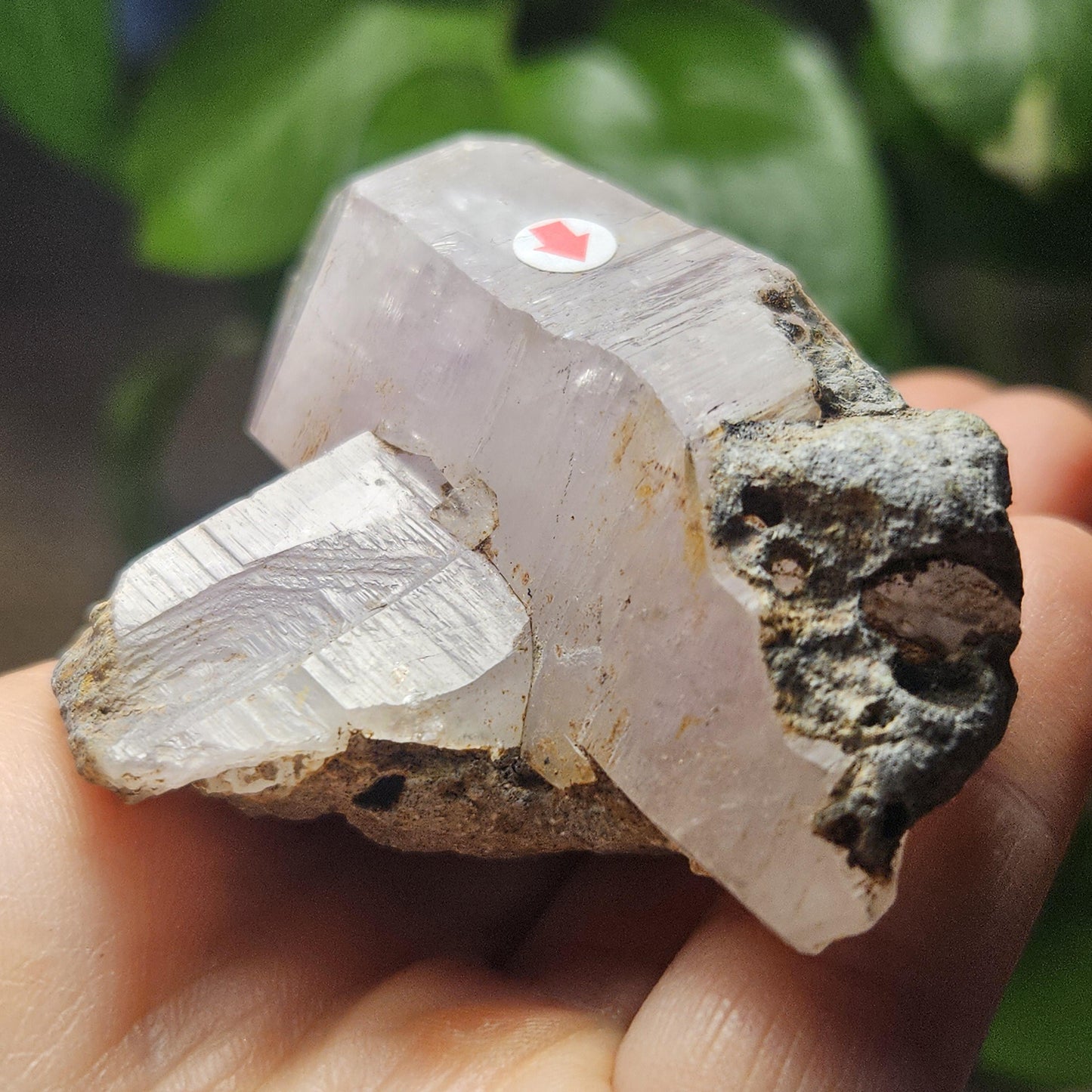 Enhydro Manifestation Crystal, MOVING Water Bubble (90g)