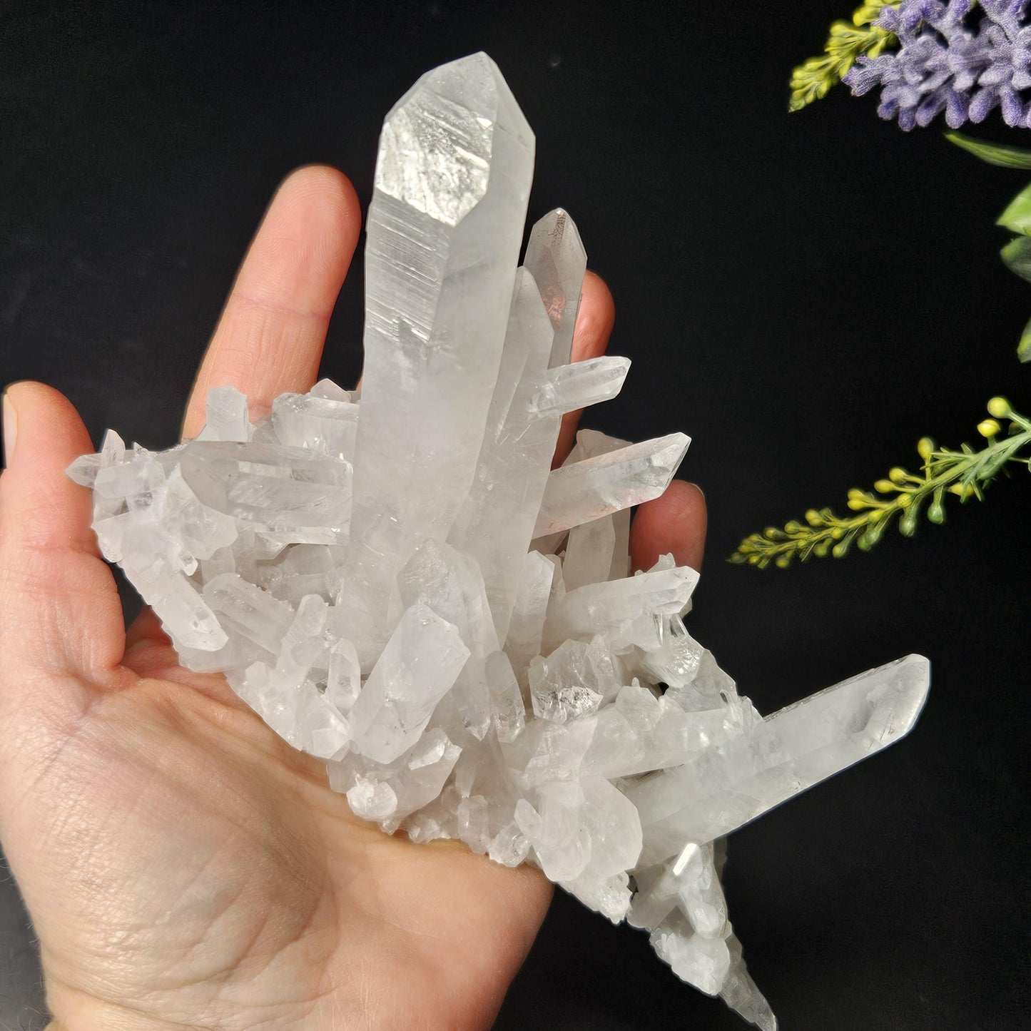 Arkansas Quartz Crystal Cluster, 343 grams