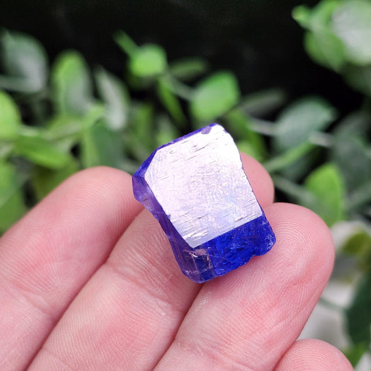 Blue Tanzanite Crystal 4.4g