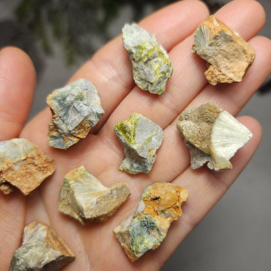 May include: A collection of eight small, rough, gray, green, and white crystals with a yellow-brown tint. The crystals are clustered together and have a variety of shapes and sizes.