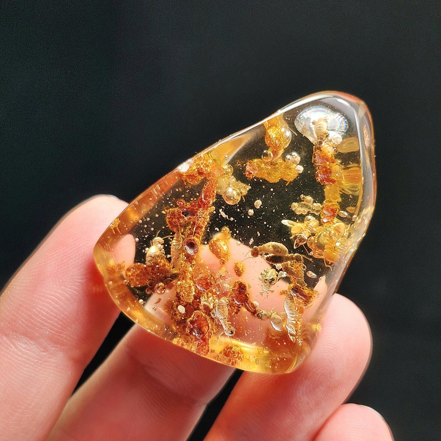 MOVING Enhydro AMBER with Bugs 11g