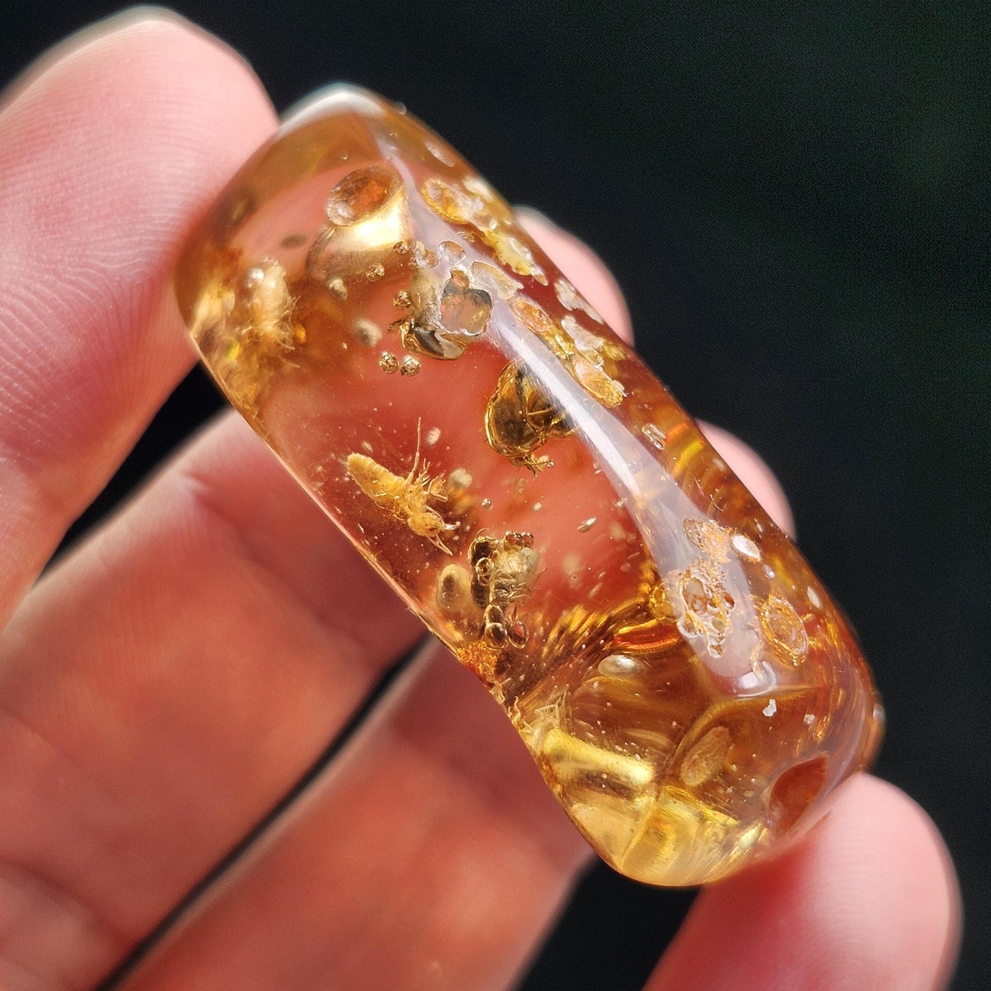 MOVING Enhydro AMBER with Bugs 11g