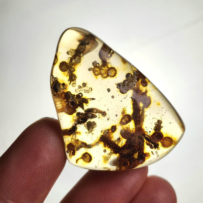 MOVING Enhydro AMBER with Bugs 11g