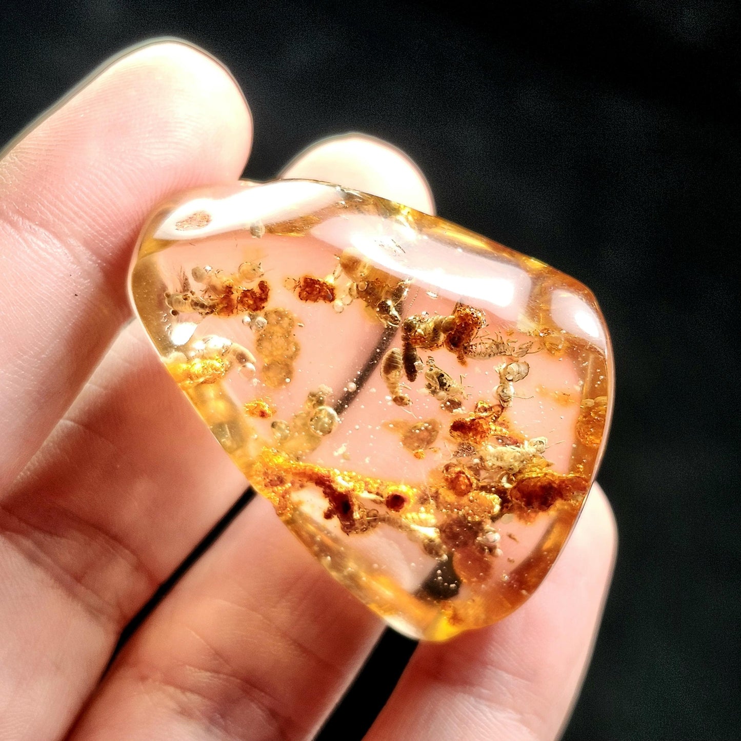 MOVING Enhydro AMBER with Bugs 11g