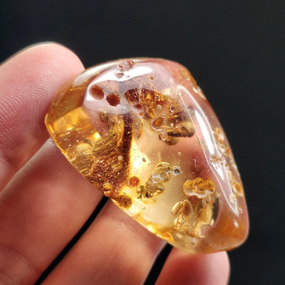 MOVING Enhydro AMBER with Bugs 11g