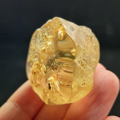 Amber with Termites/Bugs & Static ENHYDRO 10.4g