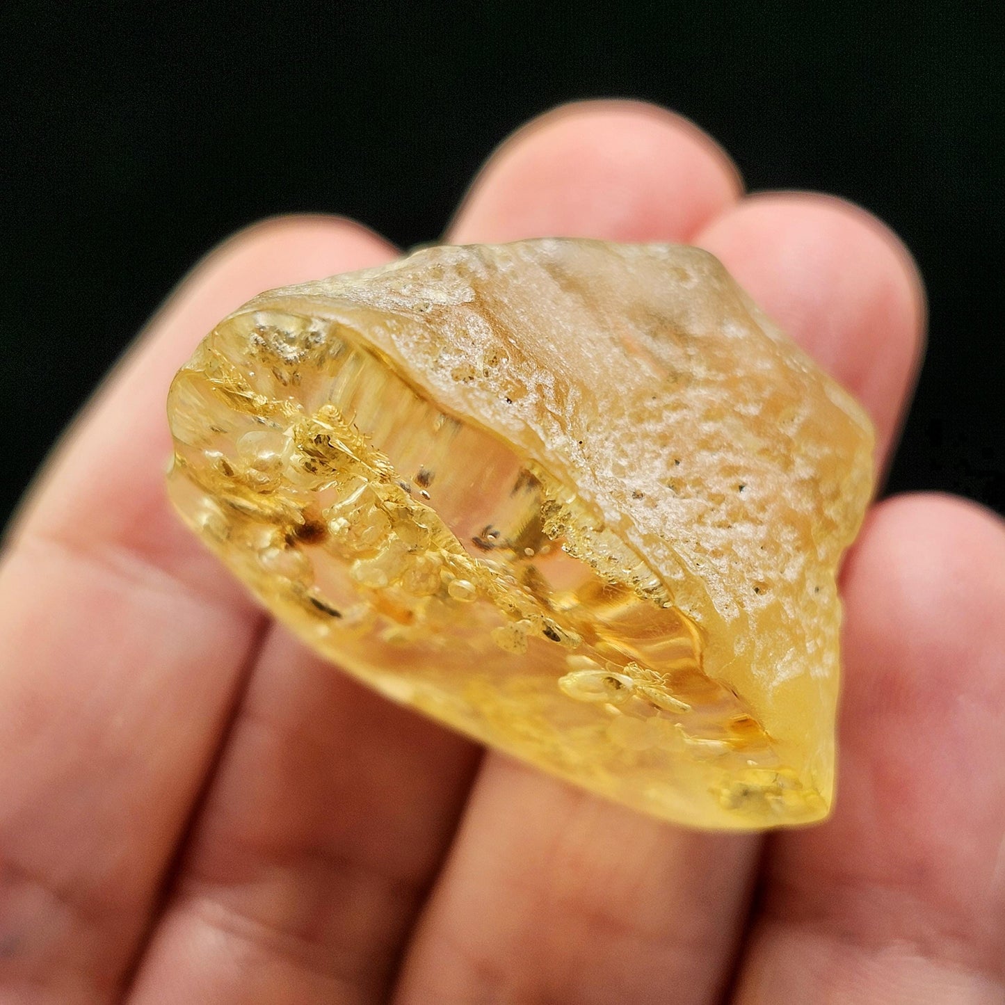 Amber with Termites/Bugs & Static ENHYDRO 10.4g