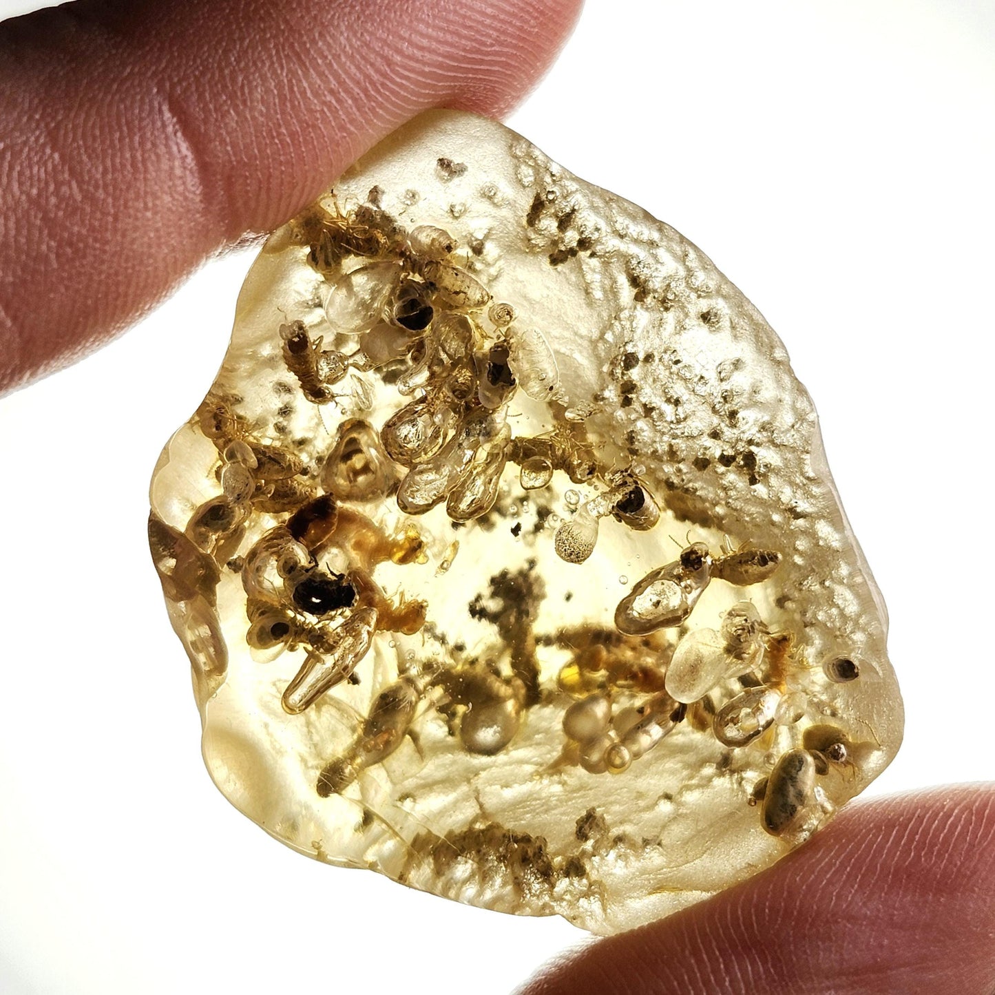 Amber with Termites/Bugs & Static ENHYDRO 10.4g