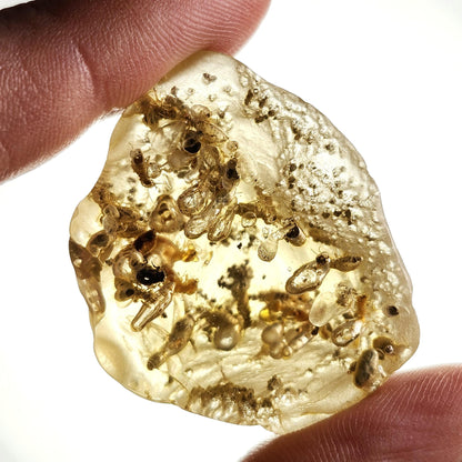 Amber with Termites/Bugs & Static ENHYDRO 10.4g