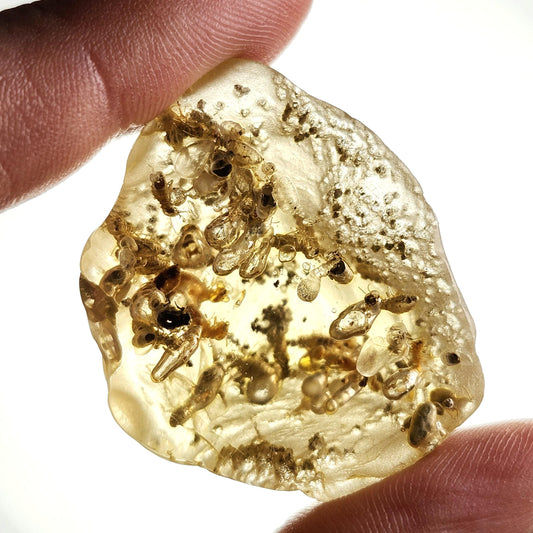 Amber with Termites/Bugs & Static ENHYDRO 10.4g