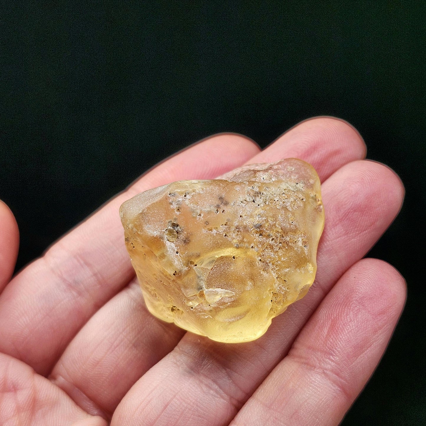 Amber with Termites/Bugs & Static ENHYDRO 10.4g