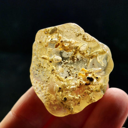 Amber with Termites/Bugs & Static ENHYDRO 10.4g