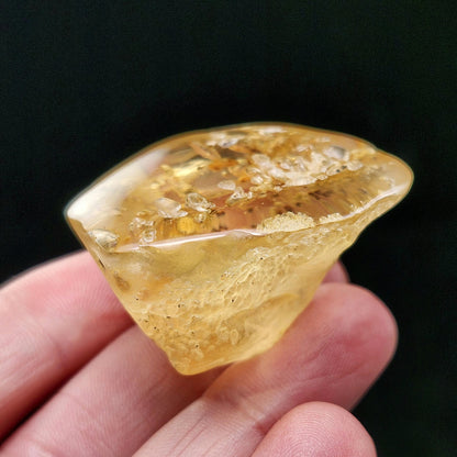 Amber with Termites/Bugs & Static ENHYDRO 10.4g