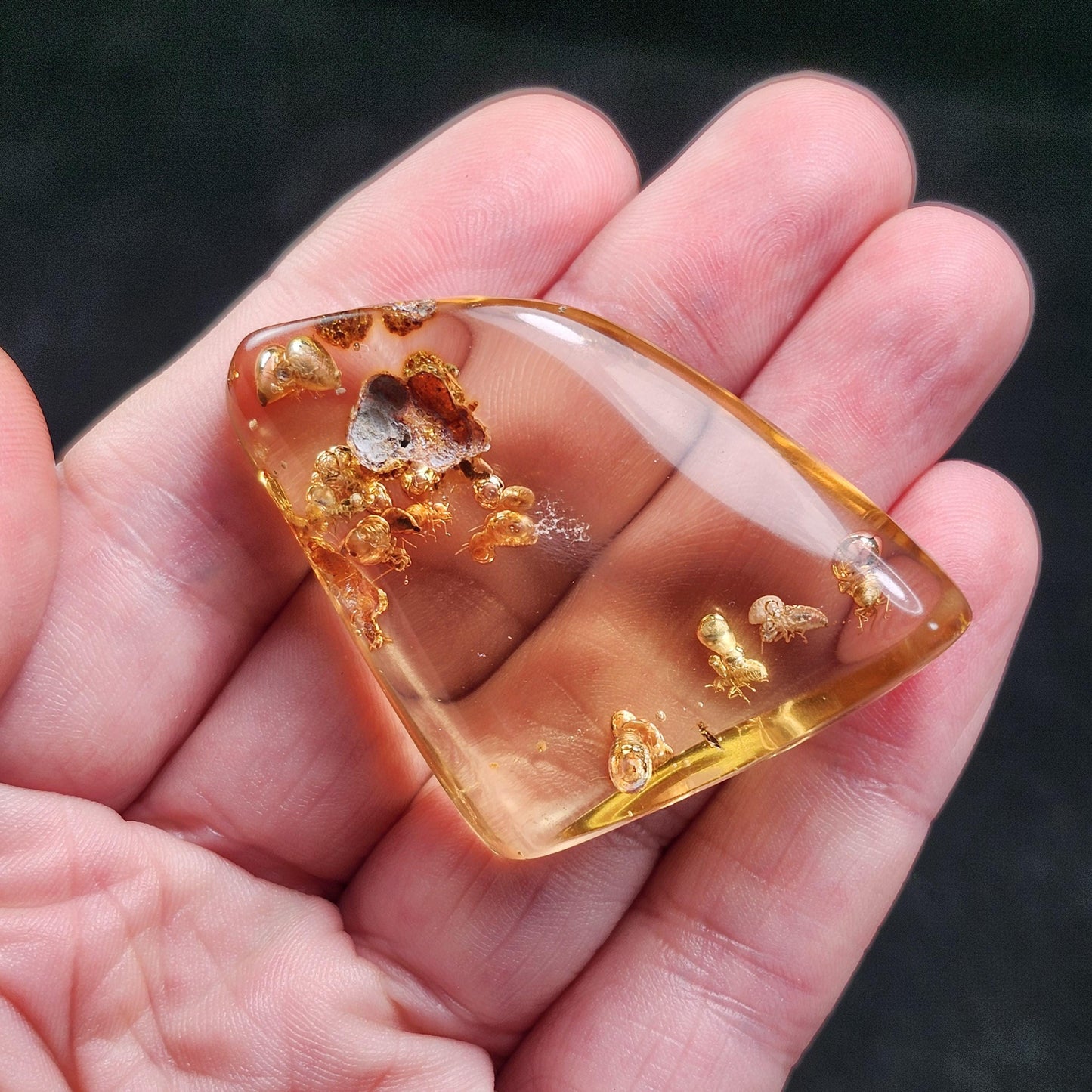 Amber with Bugs & Static ENHYDRO 10.5g