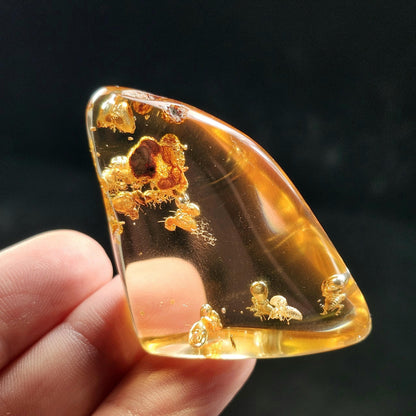 Amber with Bugs & Static ENHYDRO 10.5g