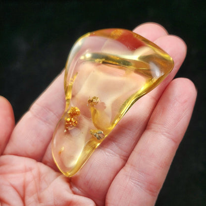 Amber with Bugs & Static ENHYDRO 11.5g