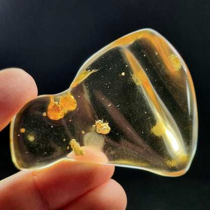 Amber with Bugs & Static ENHYDRO 11.5g