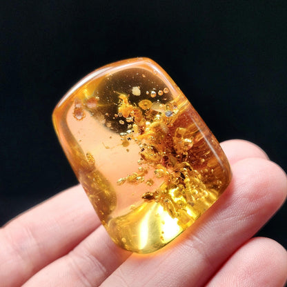 Amber with Termites & Static Enhydro Bubbles 12.8g