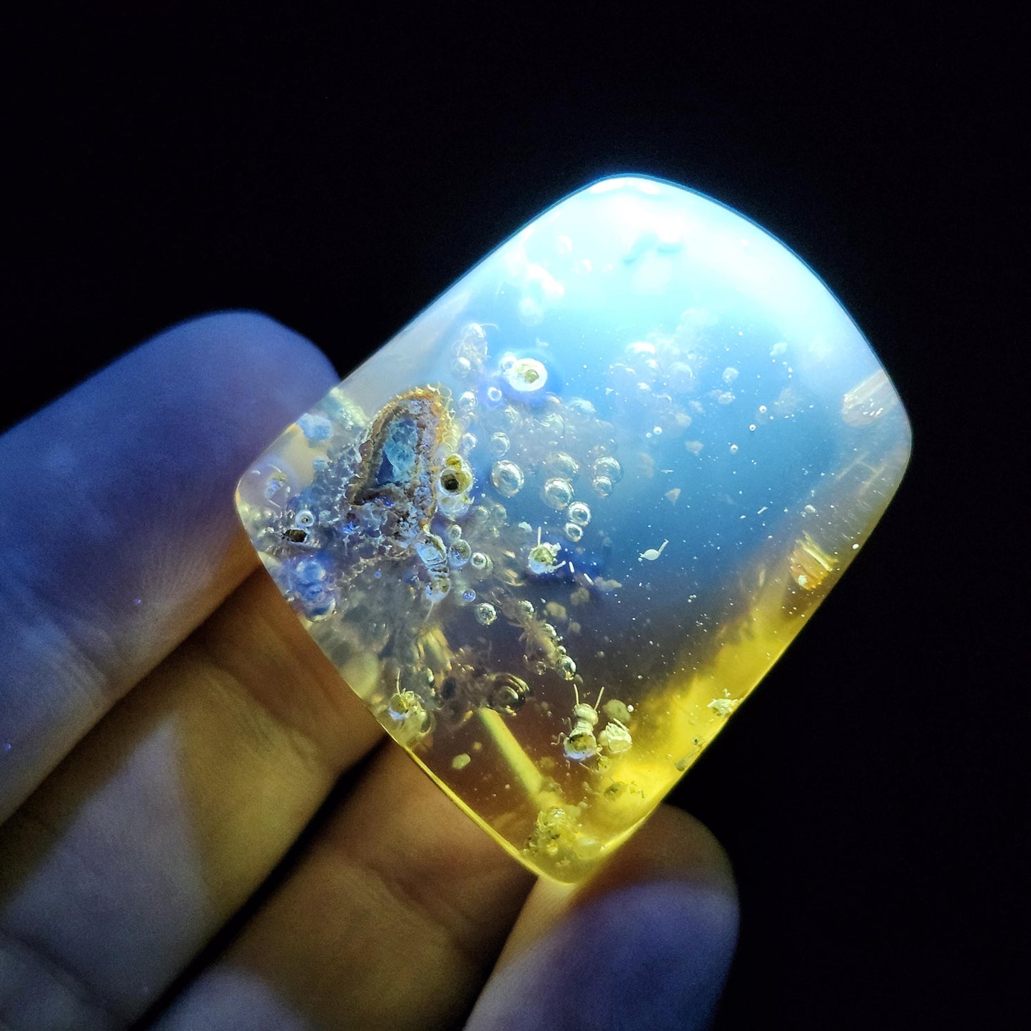 Amber with Termites & Static Enhydro Bubbles 12.8g