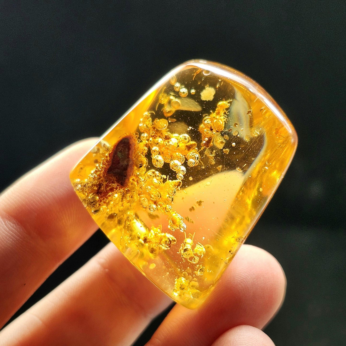 Amber with Termites & Static Enhydro Bubbles 12.8g