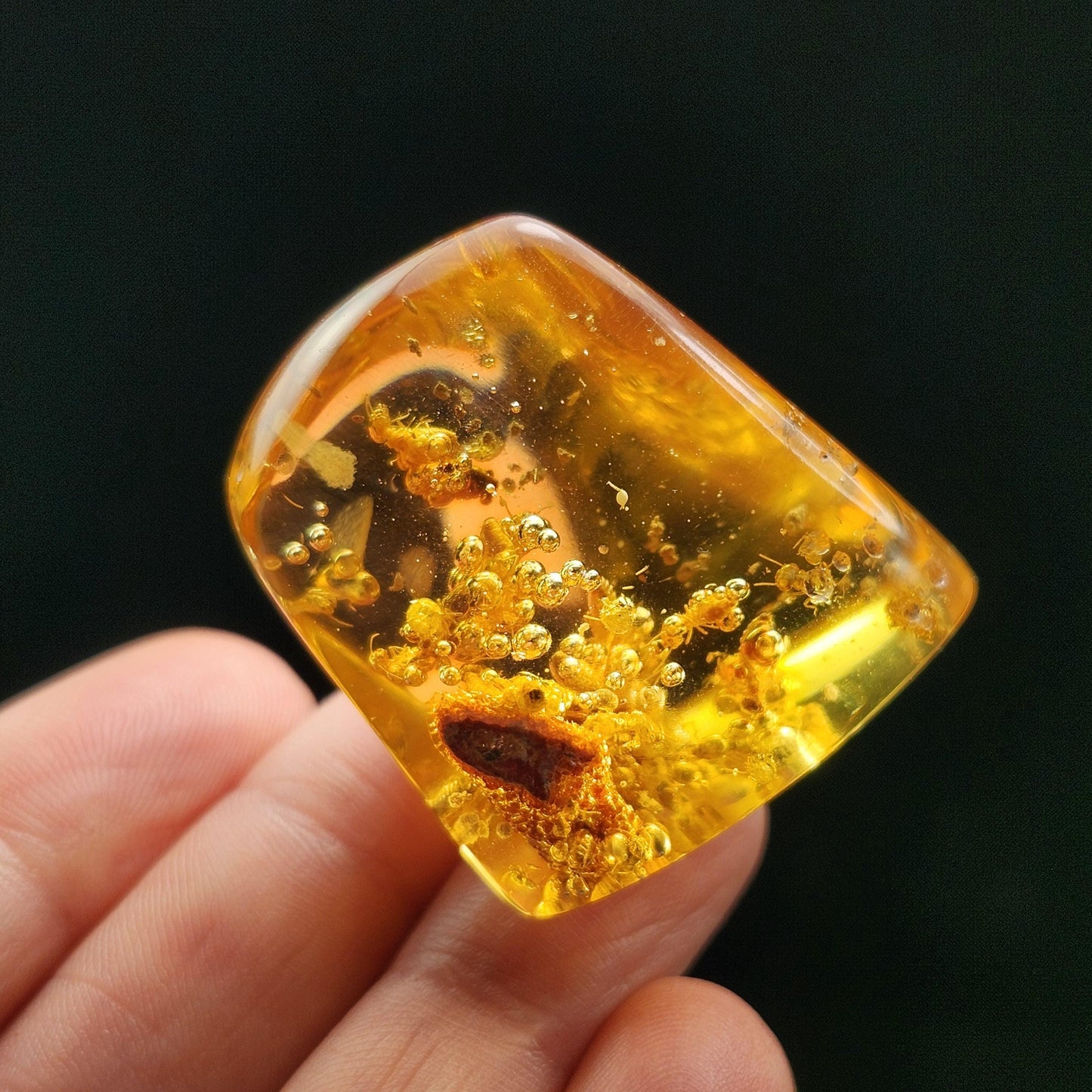 Amber with Termites & Static Enhydro Bubbles 12.8g