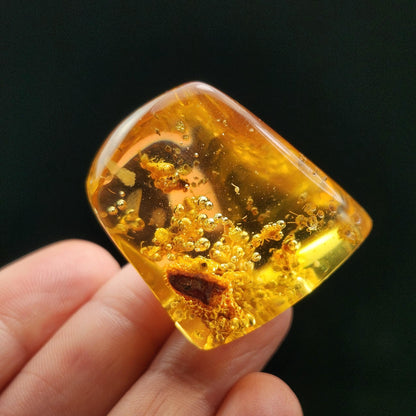 Amber with Termites & Static Enhydro Bubbles 12.8g