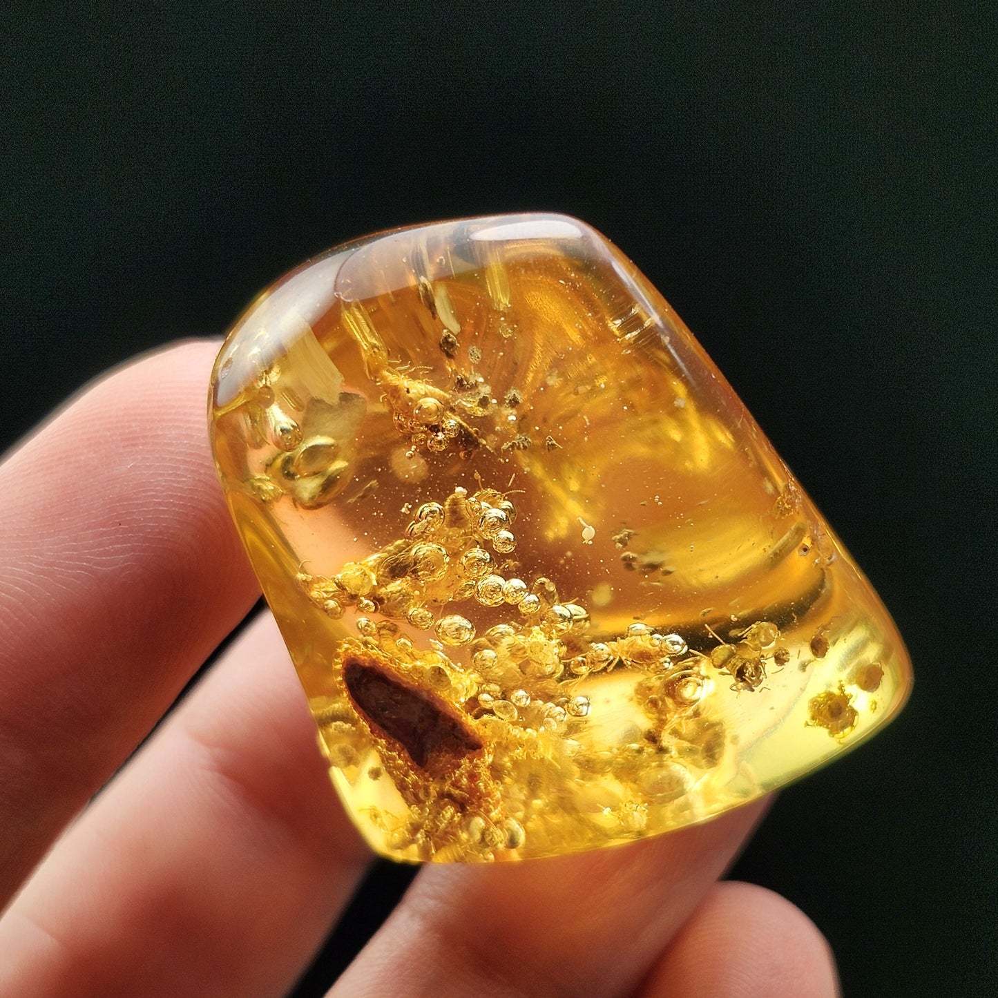 Amber with Termites & Static Enhydro Bubbles 12.8g