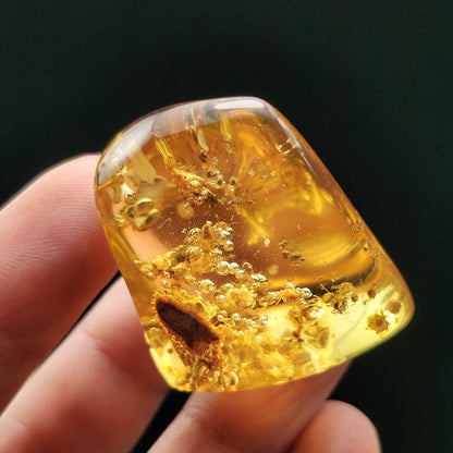 Amber with Termites & Static Enhydro Bubbles 12.8g