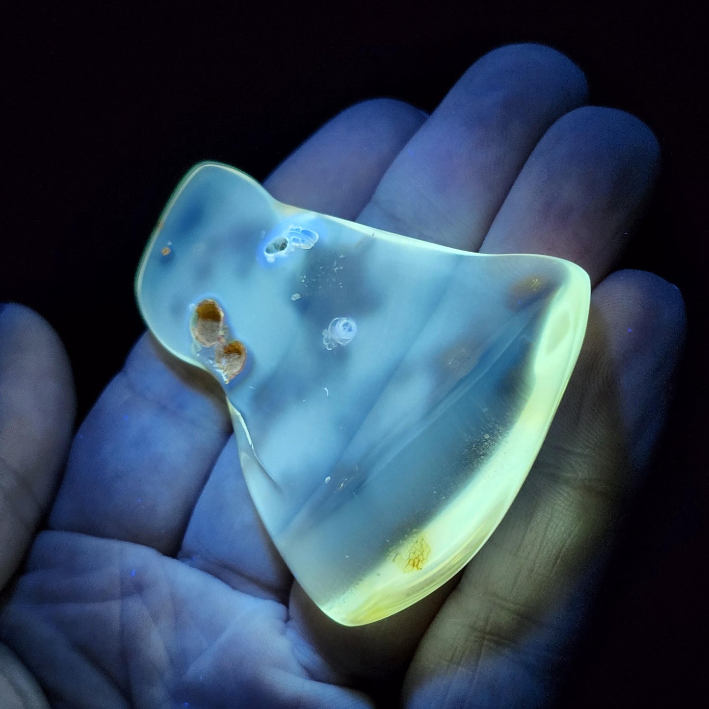 Amber with Bugs & Static ENHYDRO 11.5g