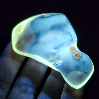 Amber with Bugs & Static ENHYDRO 11.5g