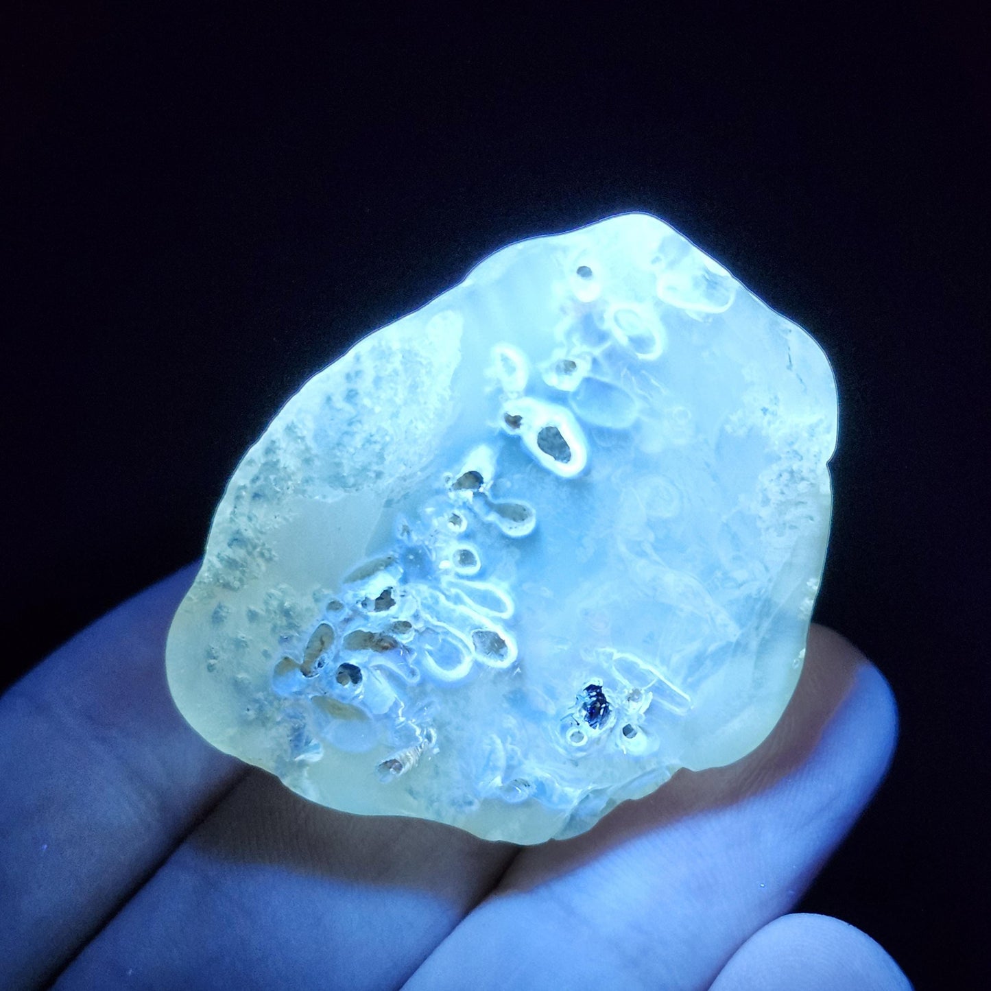 Amber with Termites/Bugs & Static ENHYDRO 10.4g