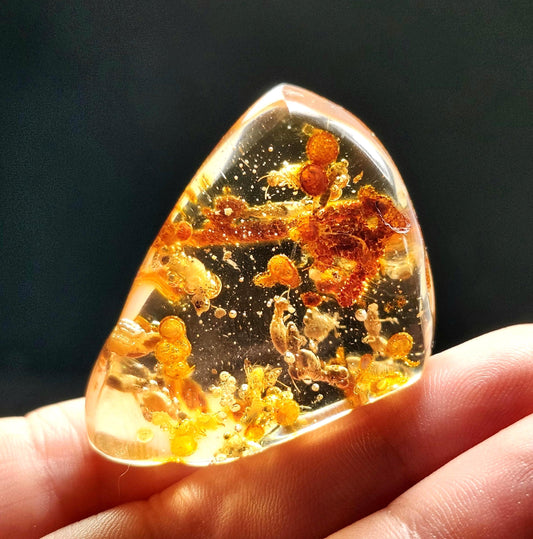MOVING Enhydro AMBER with Bugs 11g