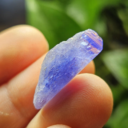 Tanzanite Crystal, Terminated 2.35g Specimen from Tanzania