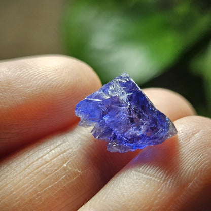 Tanzanite Bicolor Terminated Crystal 2.0 grams