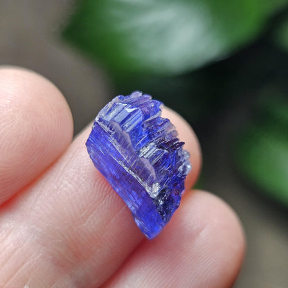 Tanzanite Bicolor Terminated Crystal 2.0 grams