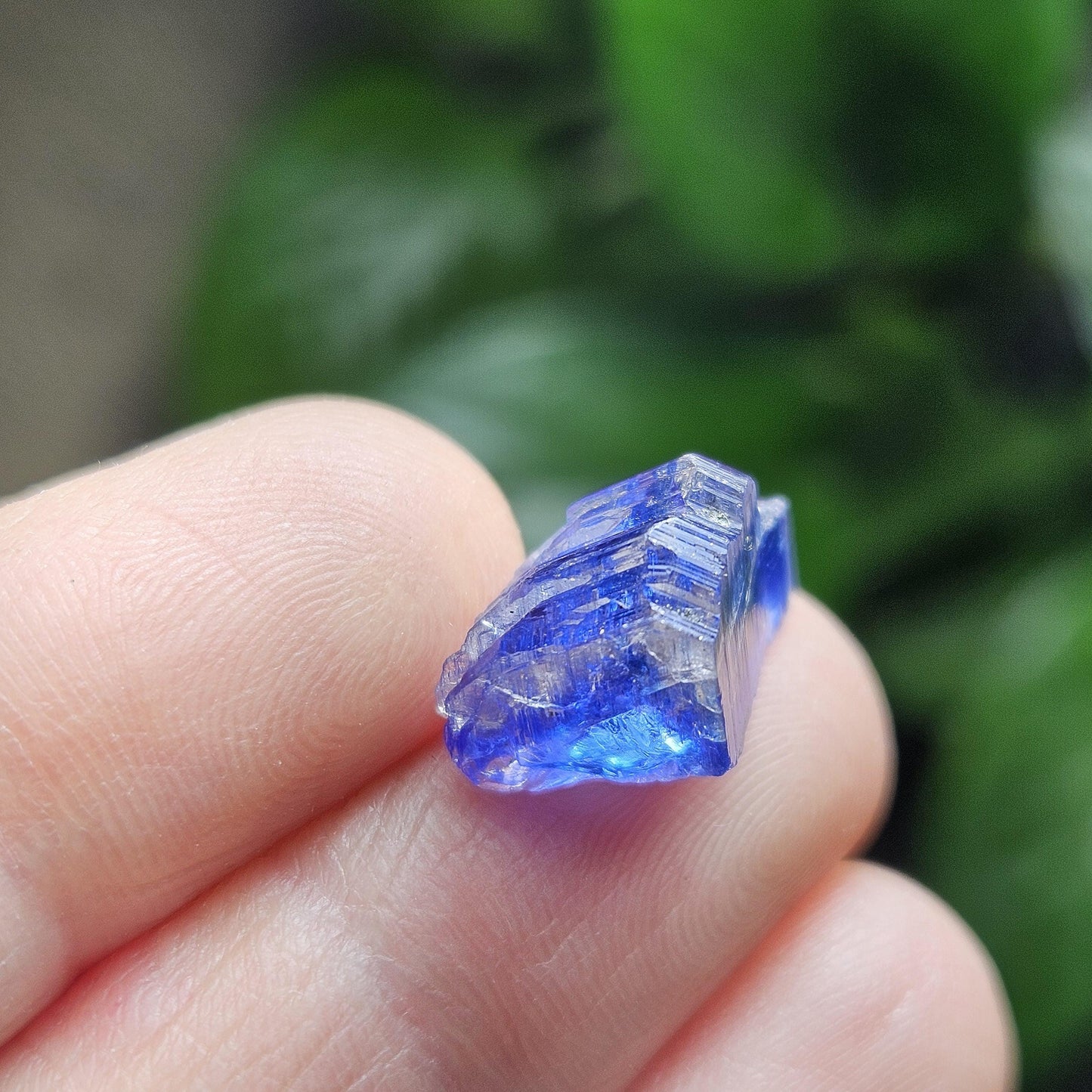 Tanzanite Bicolor Terminated Crystal 2.0 grams