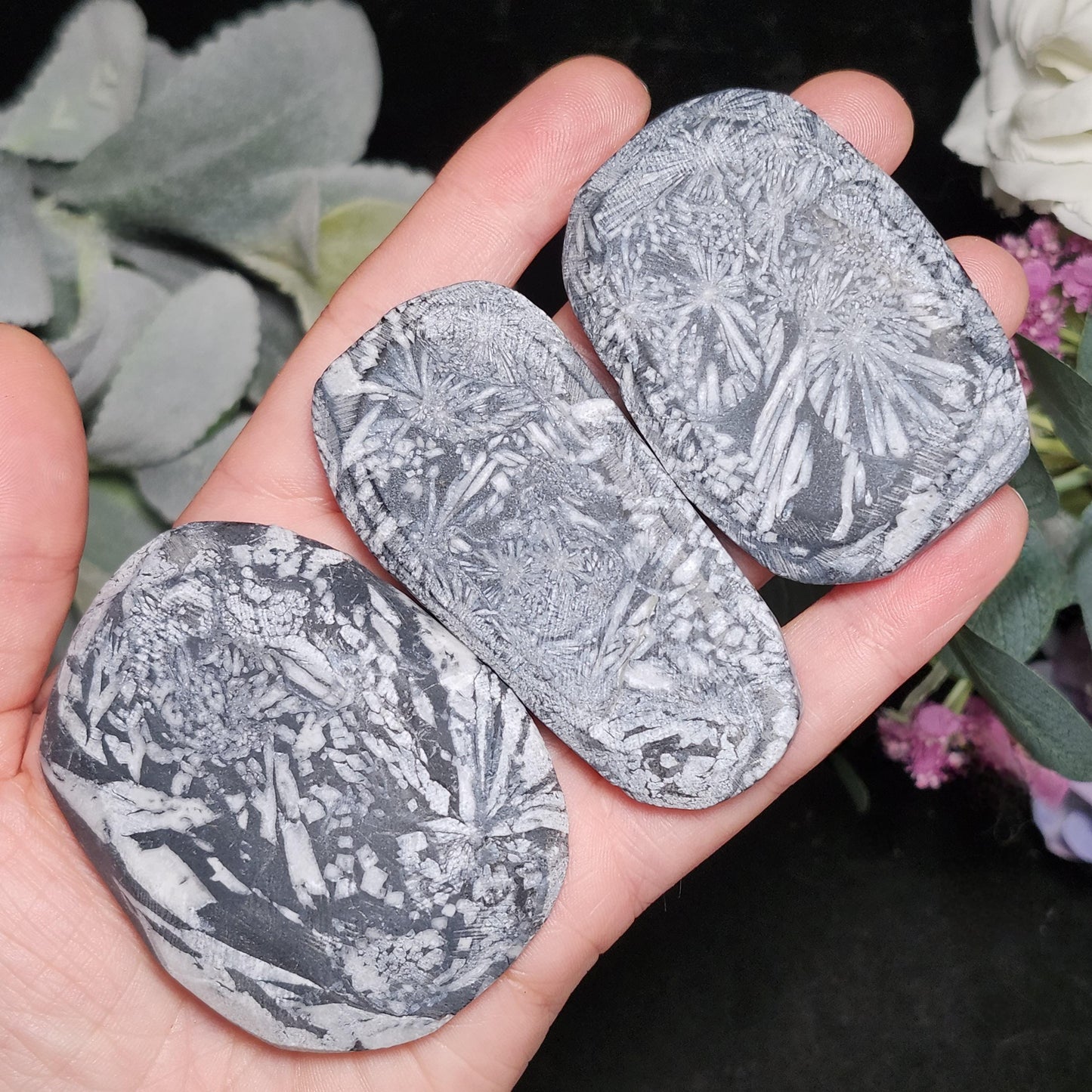 Chrysanthemum Stone, Polished Palm Stone