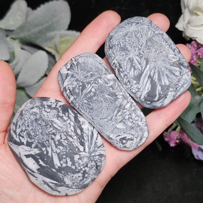 Chrysanthemum Stone, Polished Palm Stone