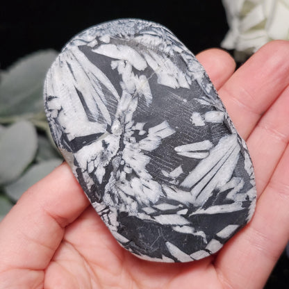 Chrysanthemum Stone, Polished Palm Stone