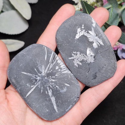 Chrysanthemum Stone, Polished Palm Stone