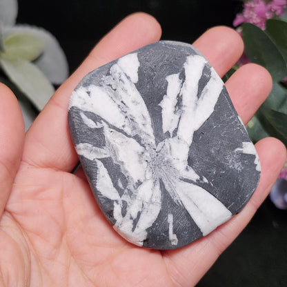Chrysanthemum Stone, Polished Palm Stone