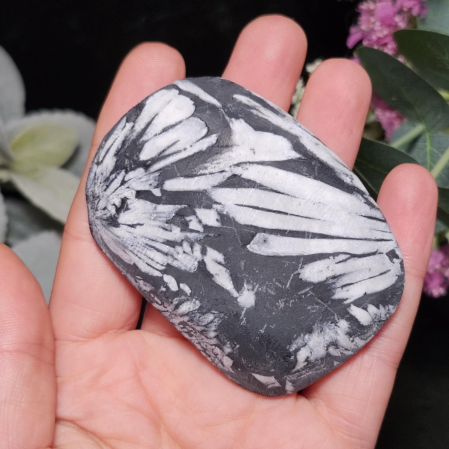 Chrysanthemum Stone, Polished Palm Stone