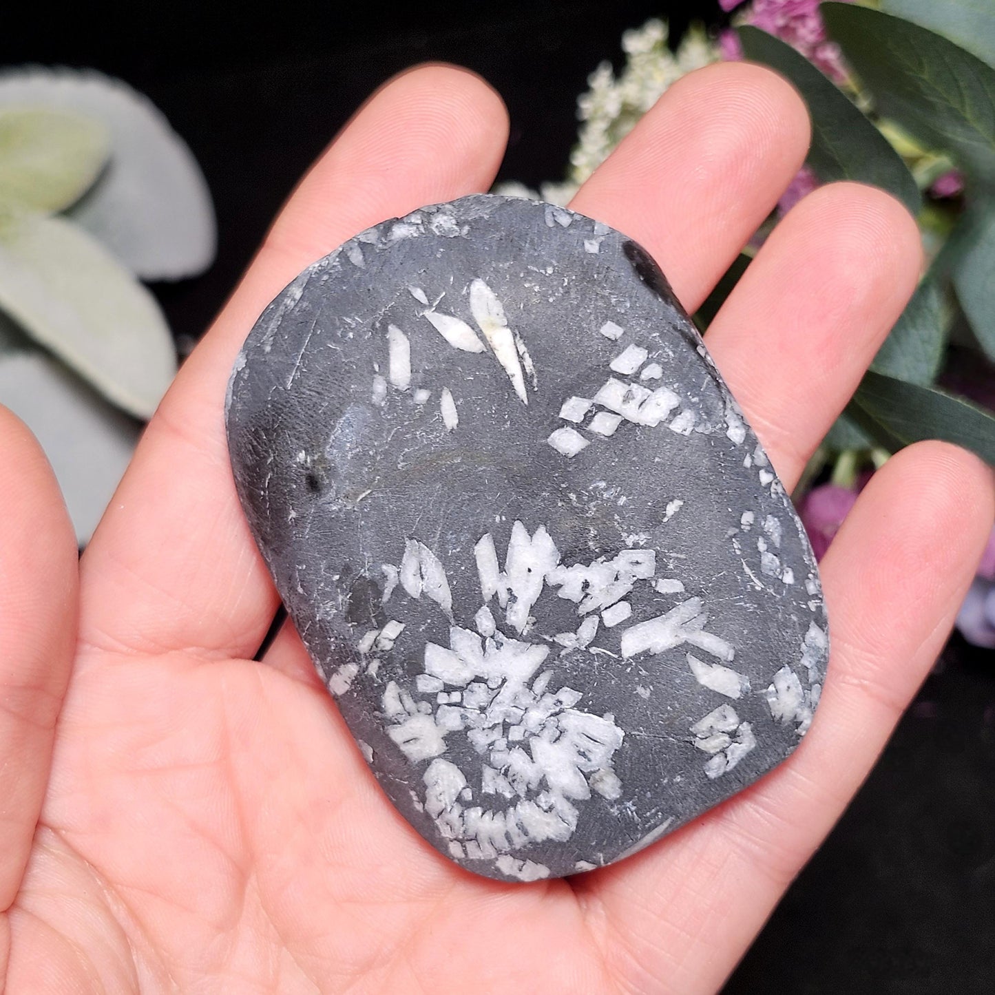 Chrysanthemum Stone, Polished Palm Stone