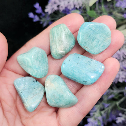 Amazonite Tumbled Crystal