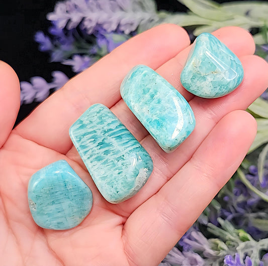 Amazonite Tumbled Crystal