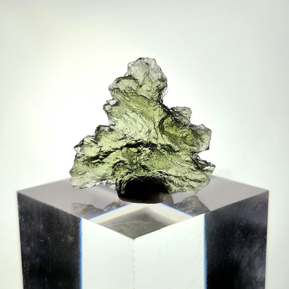 Besednice "Hedgehog" Moldavite 1.2g