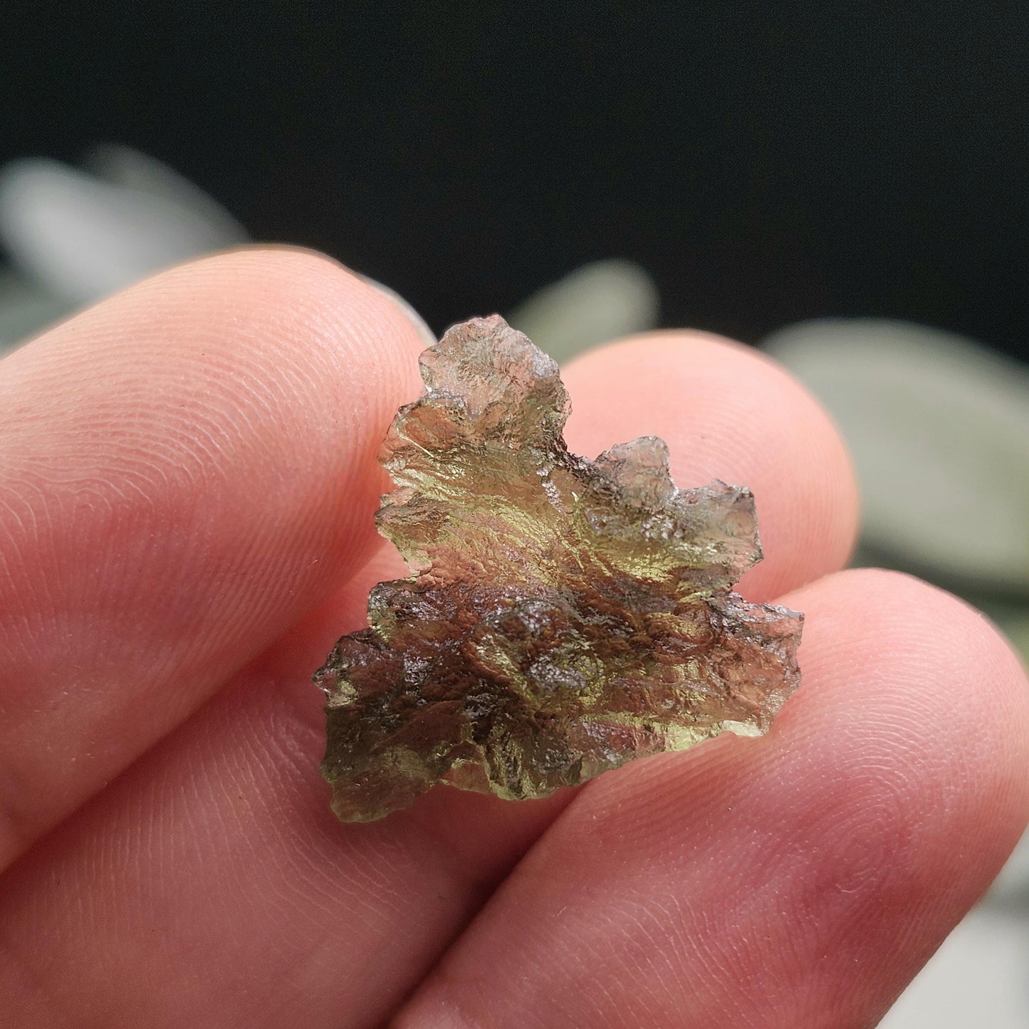 Besednice Moldavite "Hedgehog" 1.28g