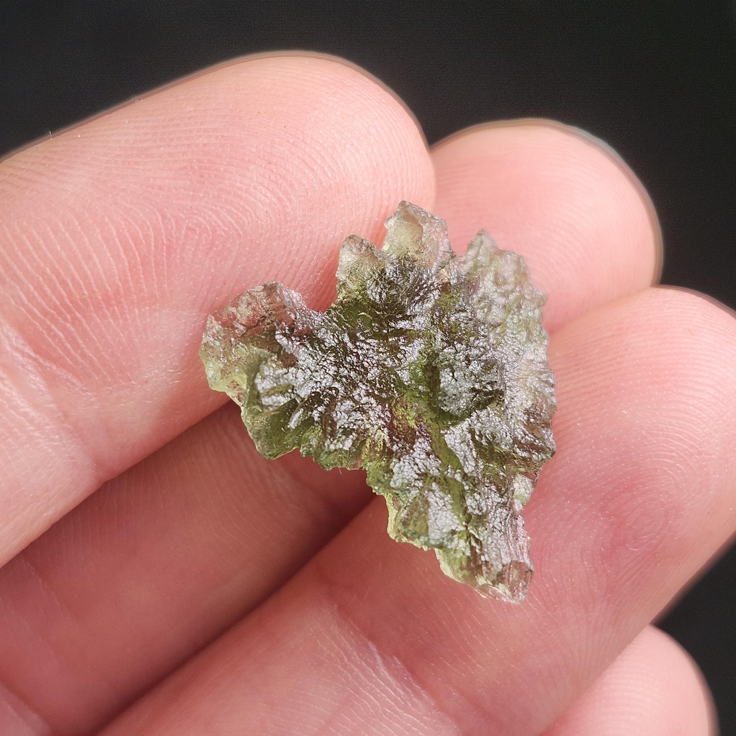 Besednice "Hedgehog" Moldavite 1.2g
